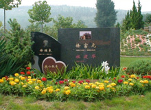 爱心歌手良子